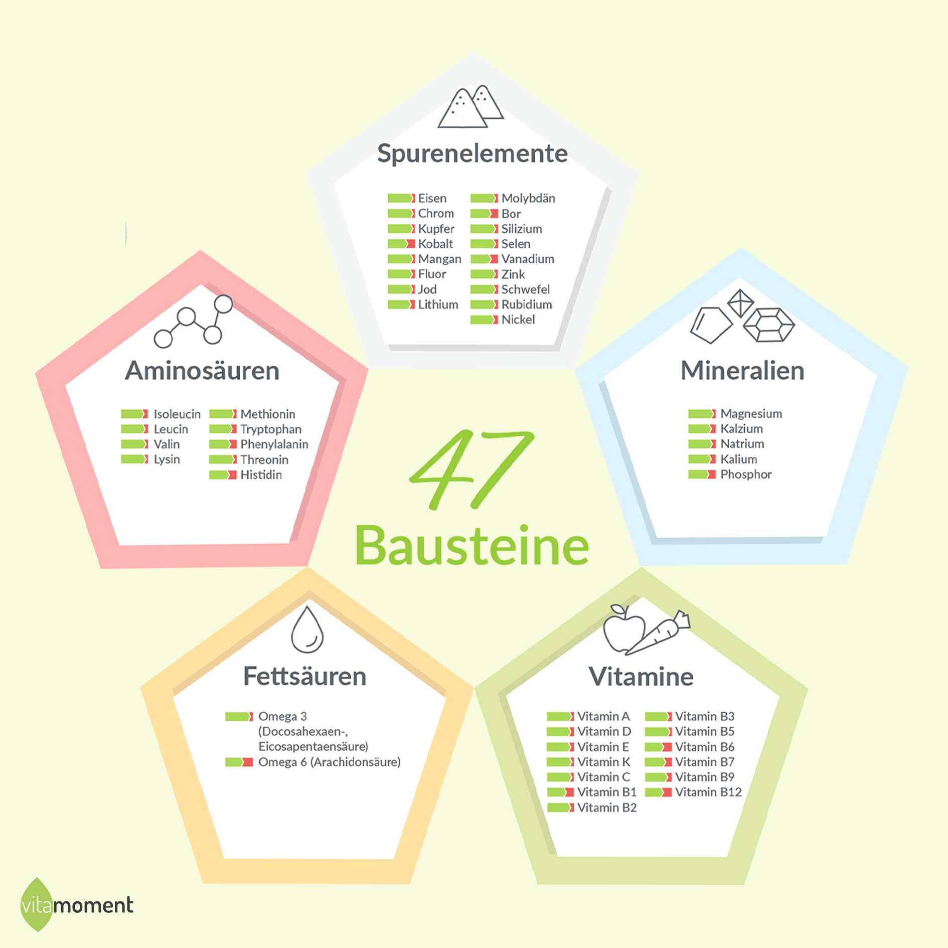 Bausteine der Ernährung
