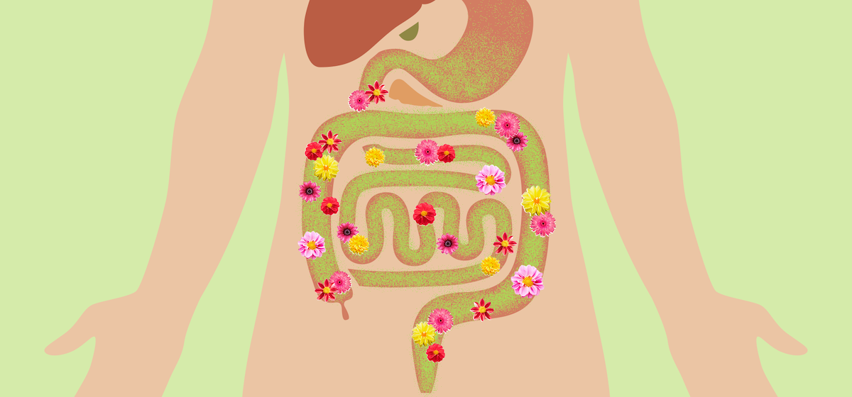 Grafische Darstellung der Darmflora