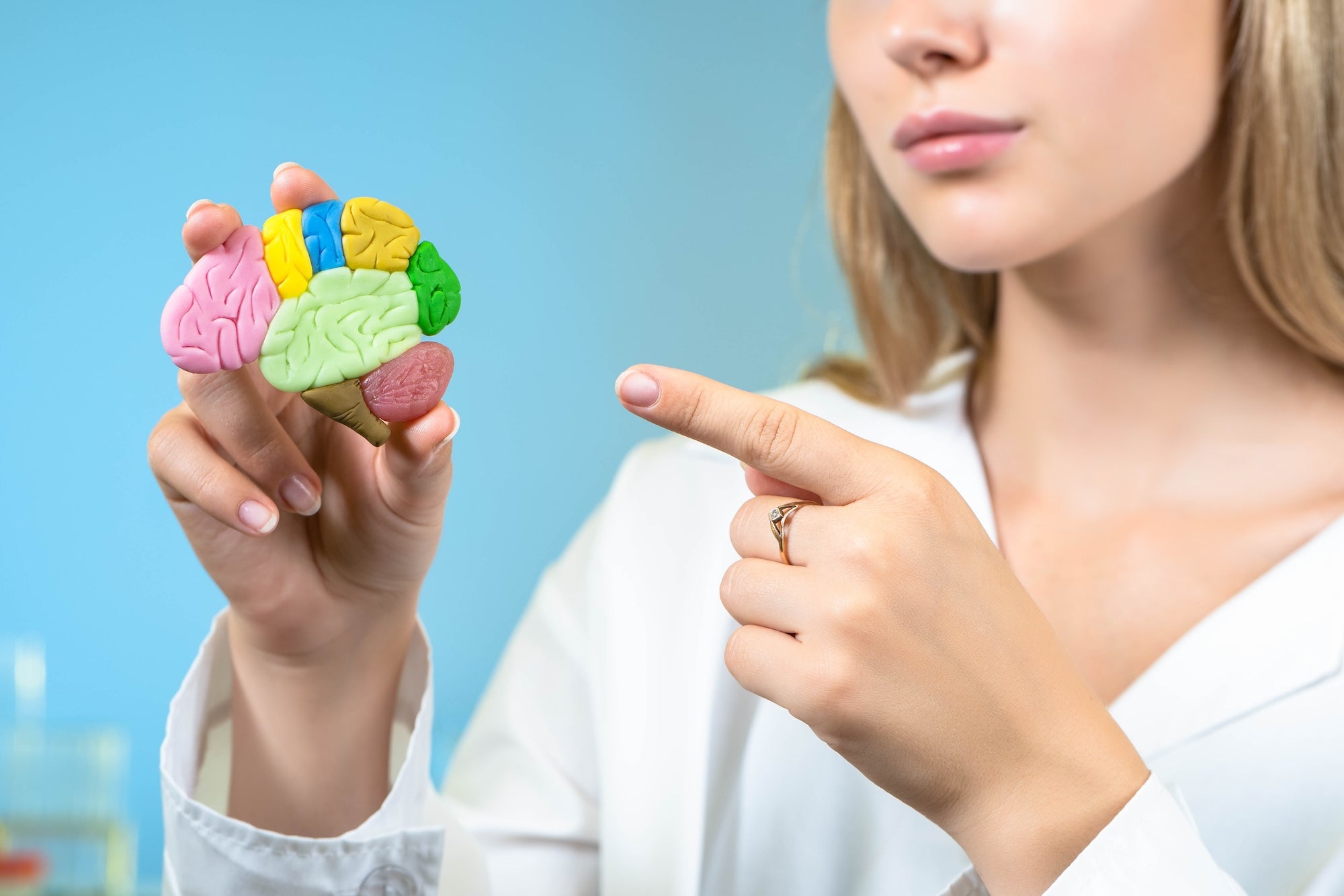 Eine Frau zeigt mit einem Finger auf ein kleines Modell eines Gehirns