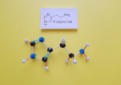 Modellhafte Darstellung von Histamin