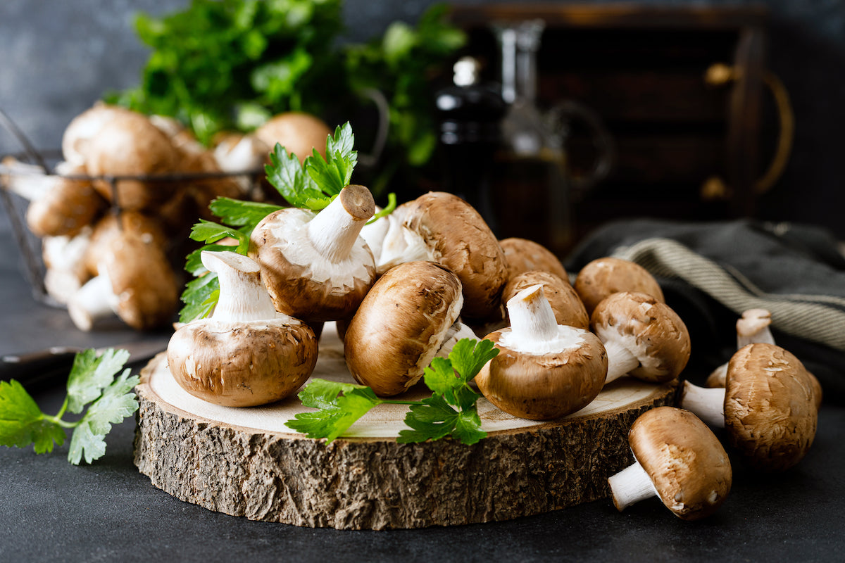 Steinpilze mit Kräutern dazwischen