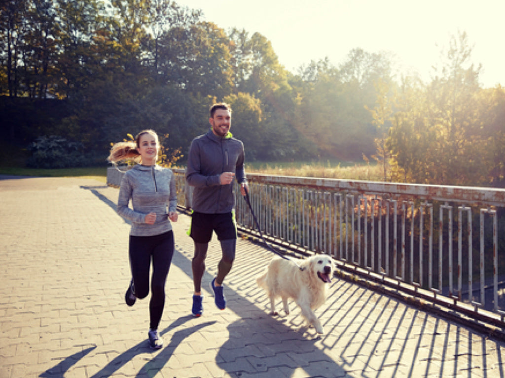 Immunabwehr: Mann, Frau und Hund joggen draußen
