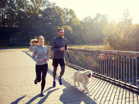 Vitamin-D-Wirkung: Mann, Frau und Hund joggen draußen in der Sonne