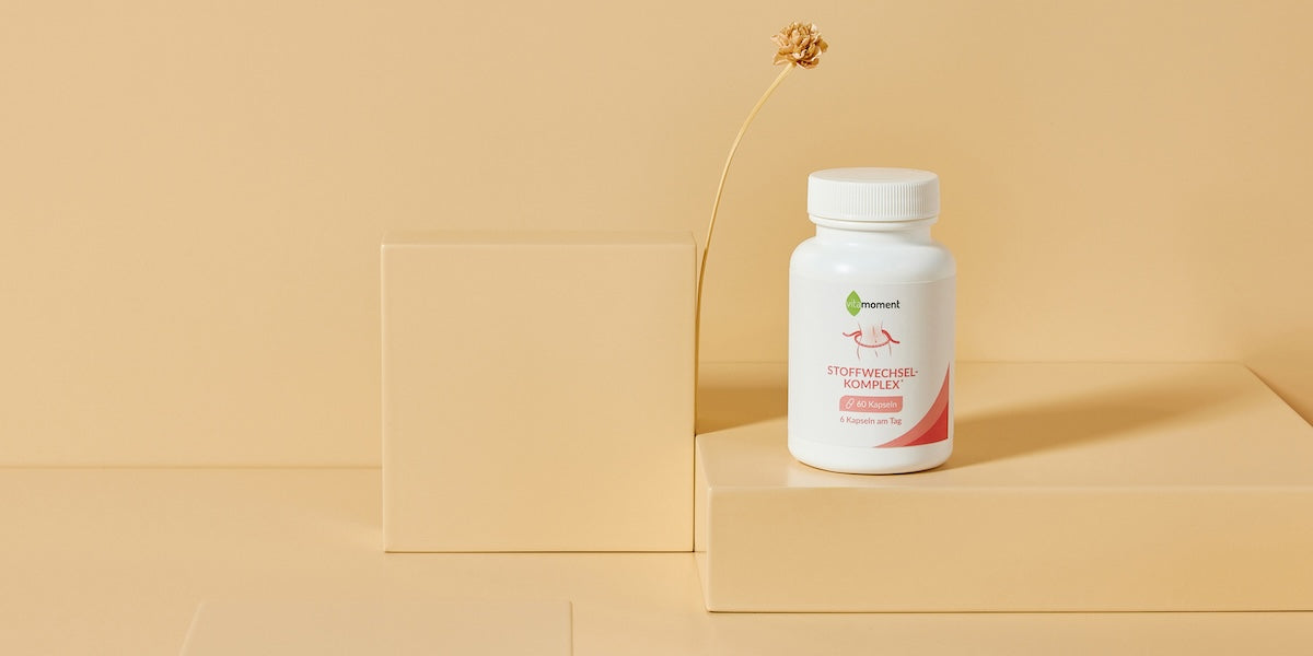VitaMoment Abnehmhelfer: Stoffwechsel-Komplex