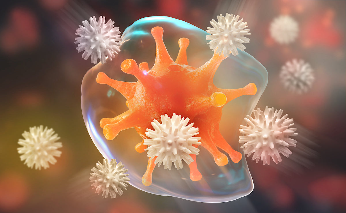 Immunabwehr: Darstellung eines Virus im Körper
