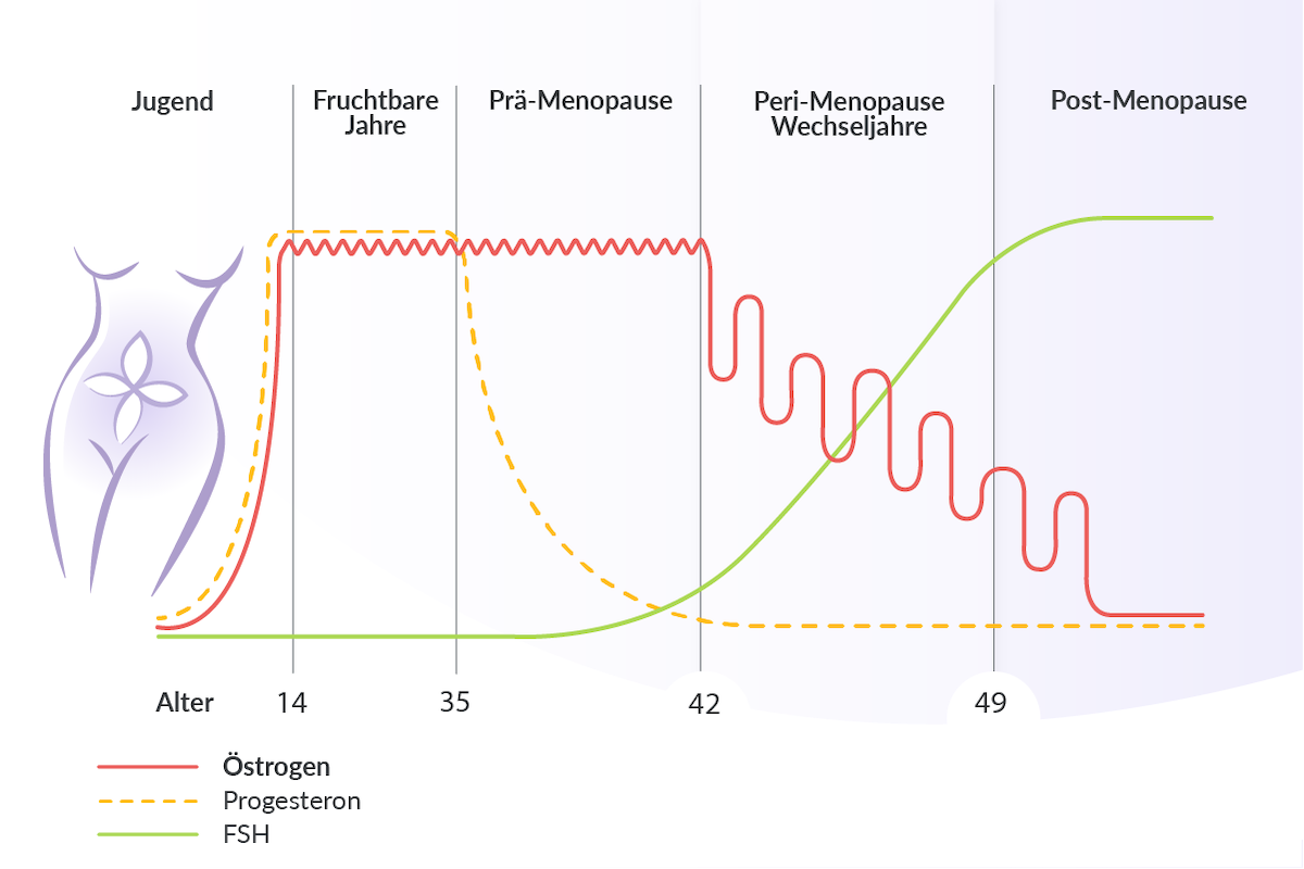 Meno-Komplex oder Post-Meno-Komplex: Diagramm mit den Phasen der Wechseljahre