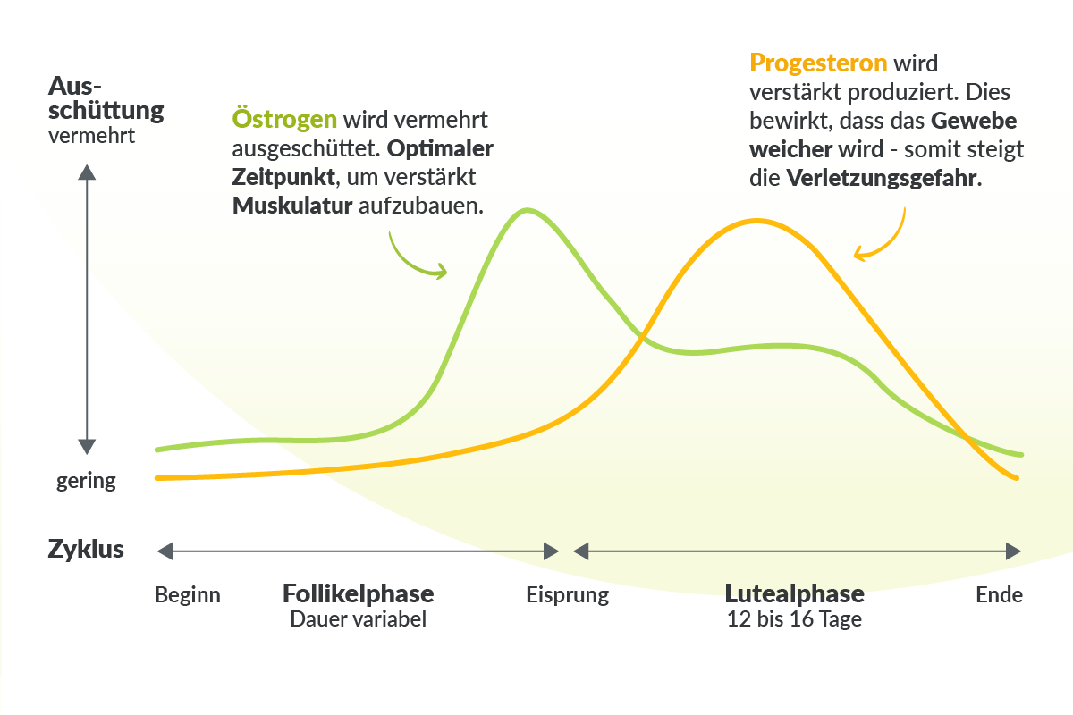 Progesteronmangel: Grafik Hormonschwankungen während des Zyklus