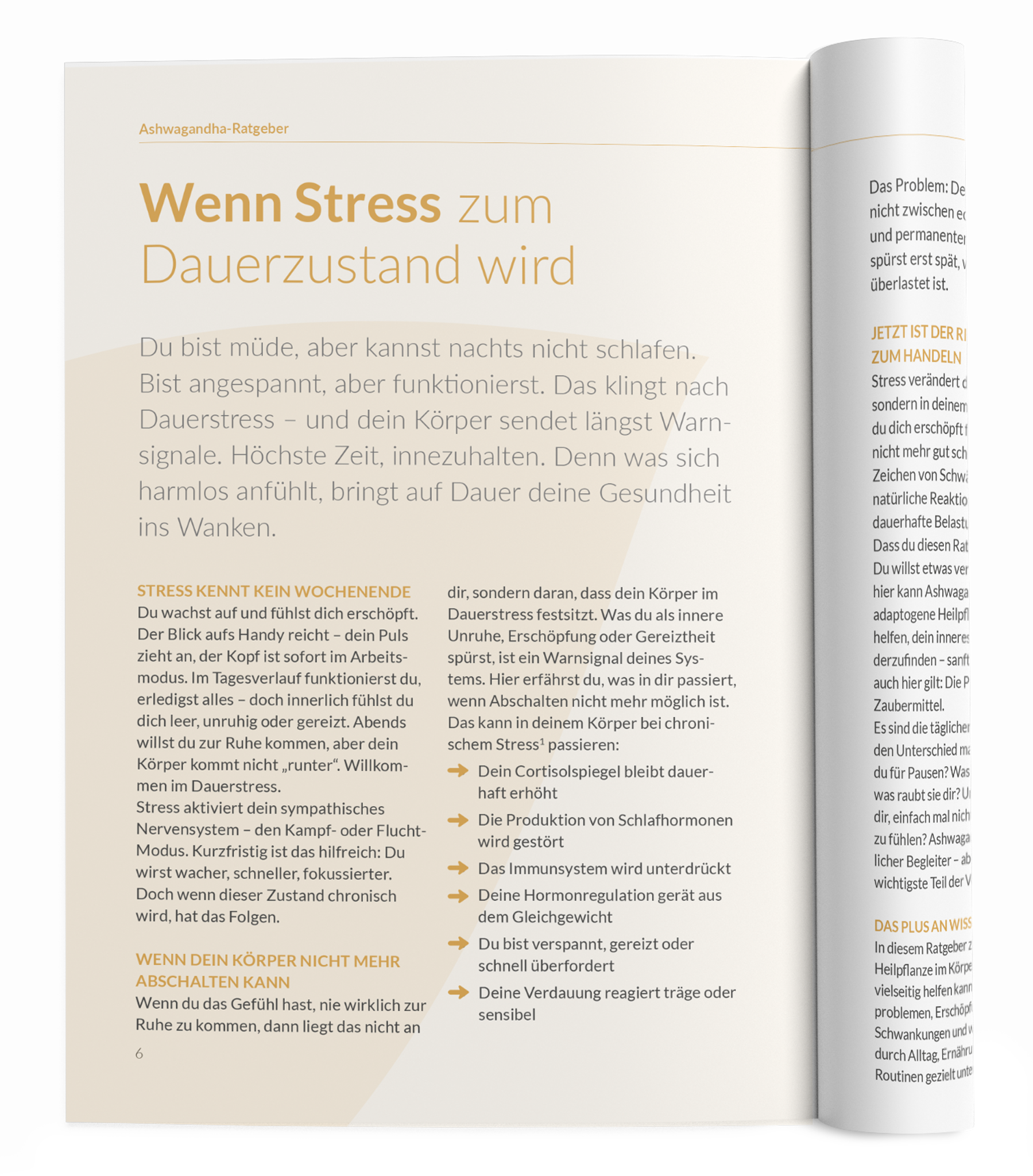 Ashwagandha-Ratgeber - VitaMoment Produkt