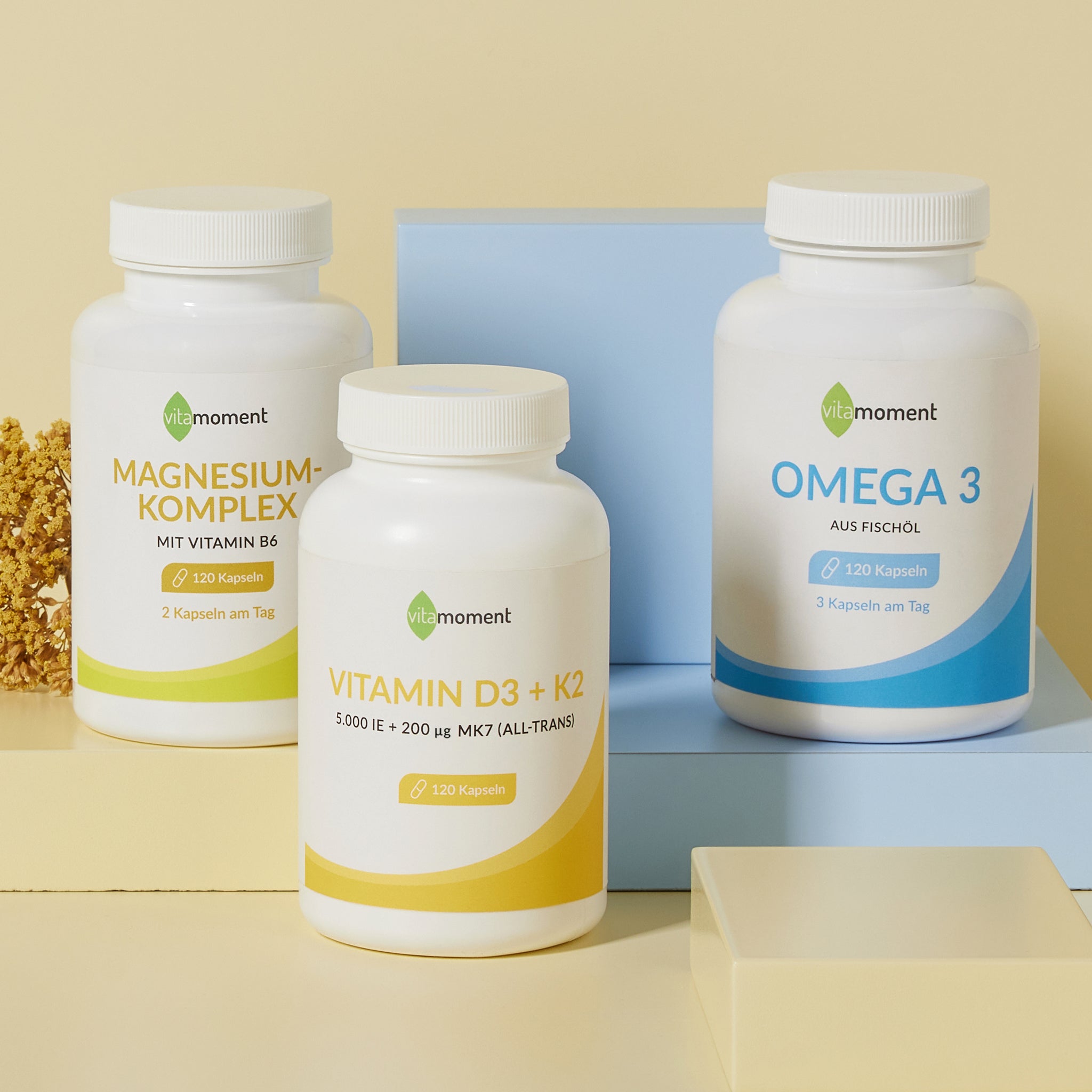 Basis-Paket - VitaMoment Produkt