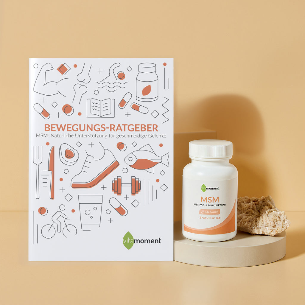 Bewegungs-Ratgeber - 1:MSM - VitaMoment Produkt
