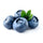 Blaubeer