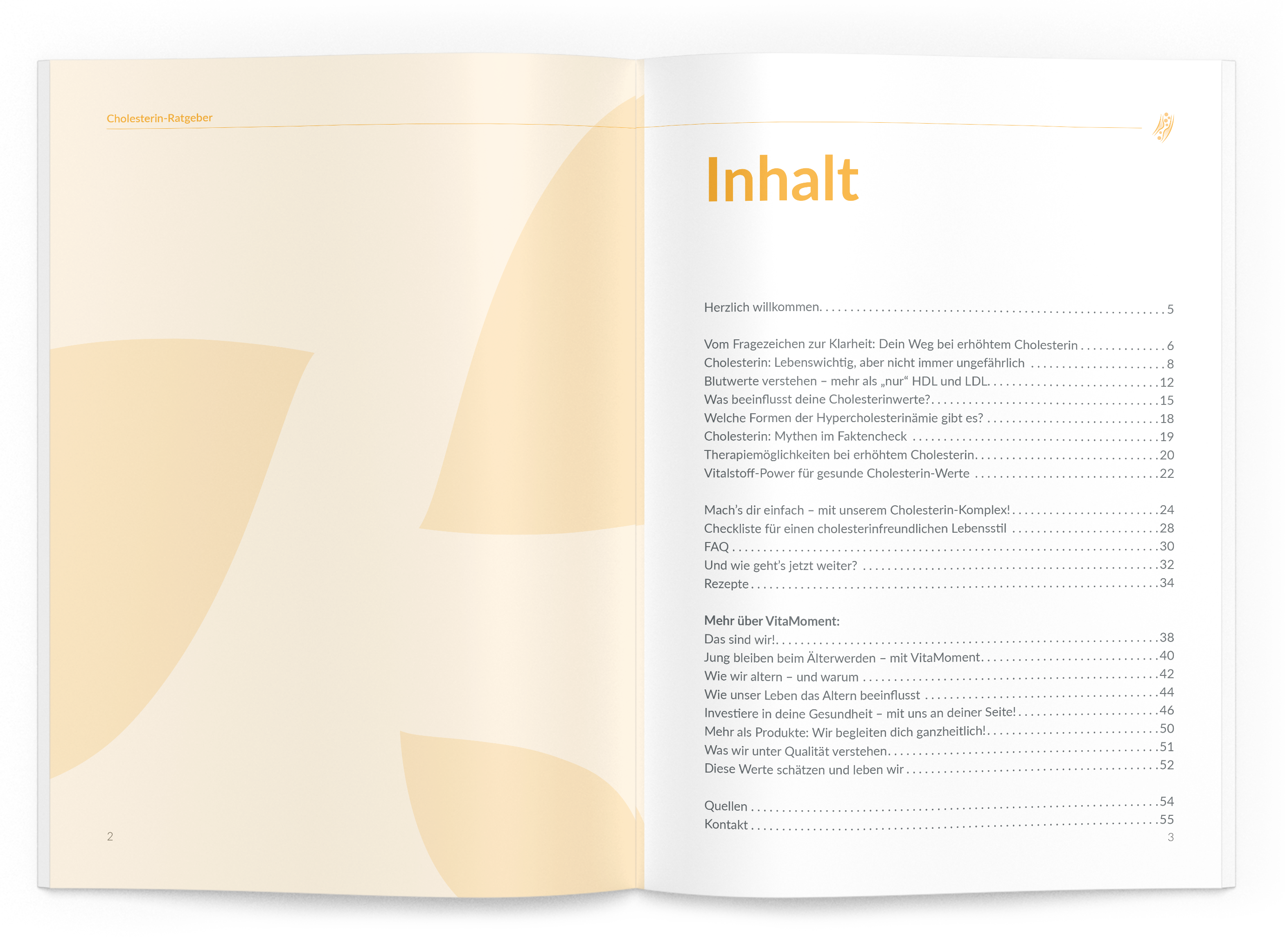 Cholesterin-Ratgeber - VitaMoment Produkt