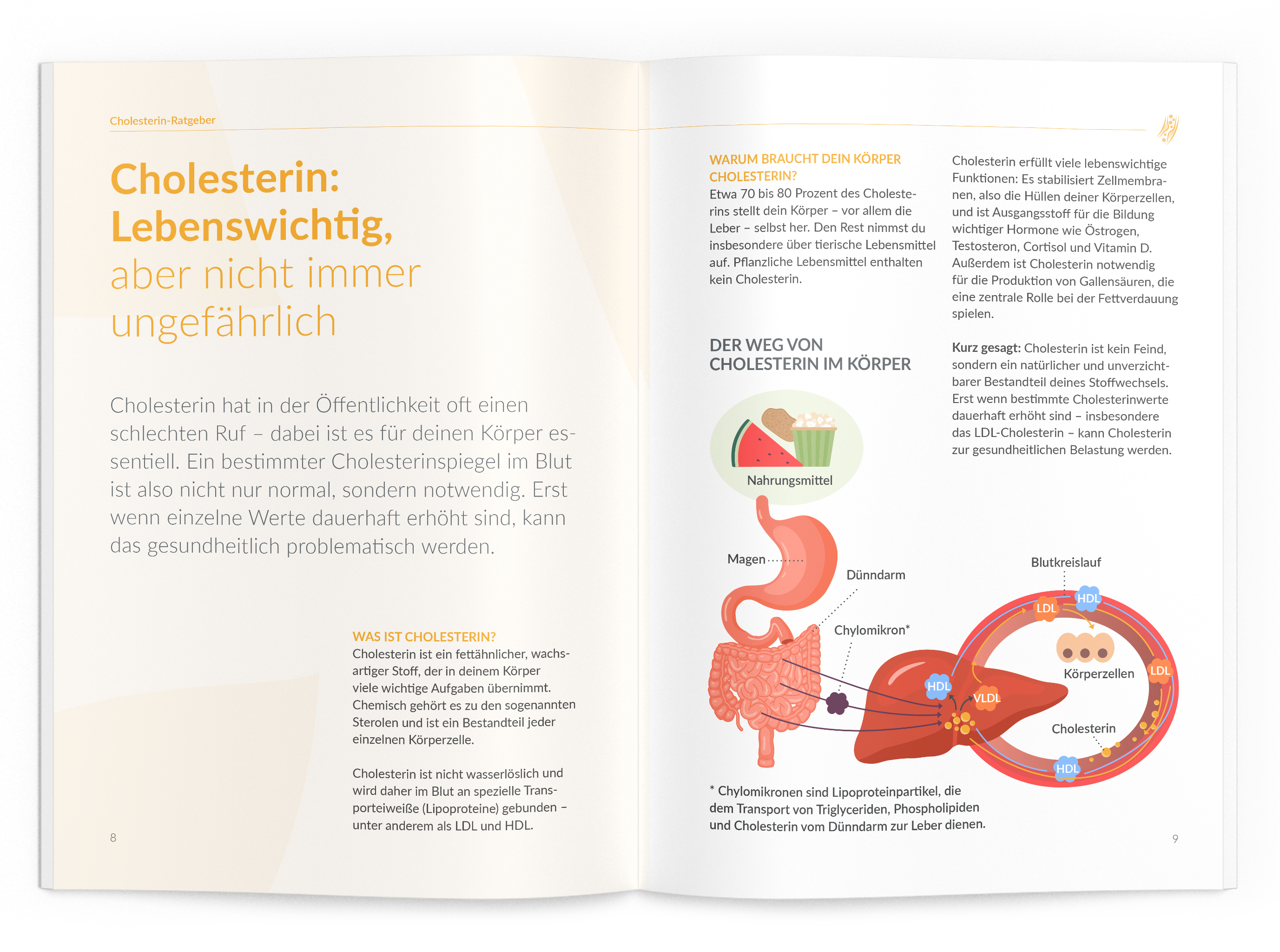 Cholesterin-Ratgeber - VitaMoment Produkt