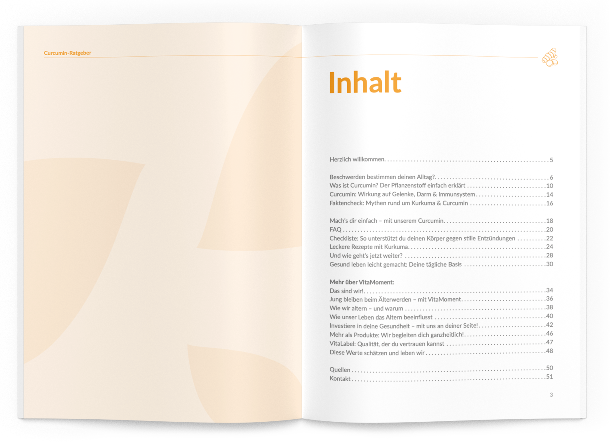 Curcumin-Ratgeber - VitaMoment Produkt