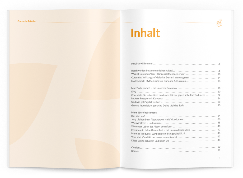 Curcumin-Ratgeber - VitaMoment Produkt