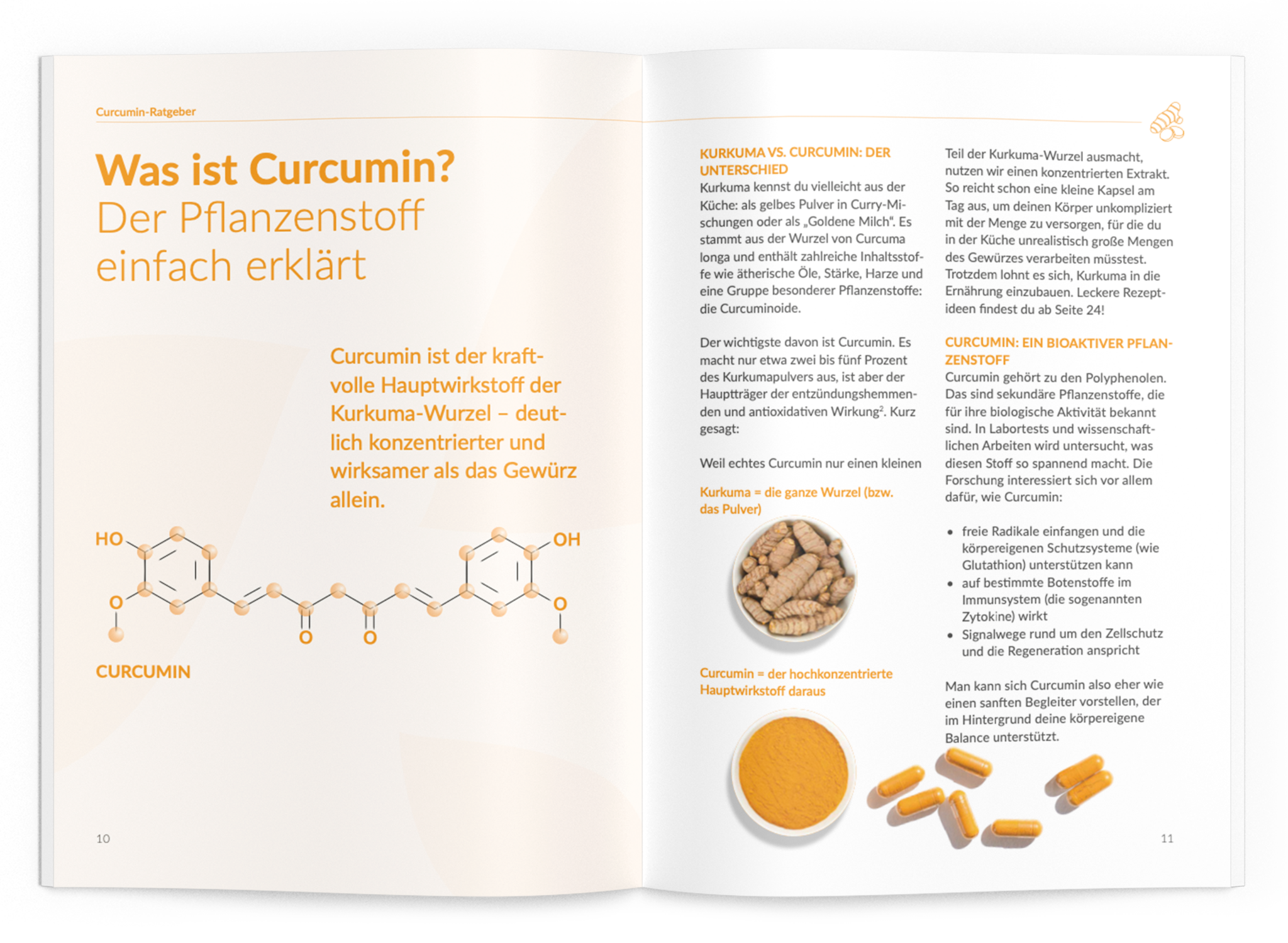 Curcumin-Ratgeber - VitaMoment Produkt