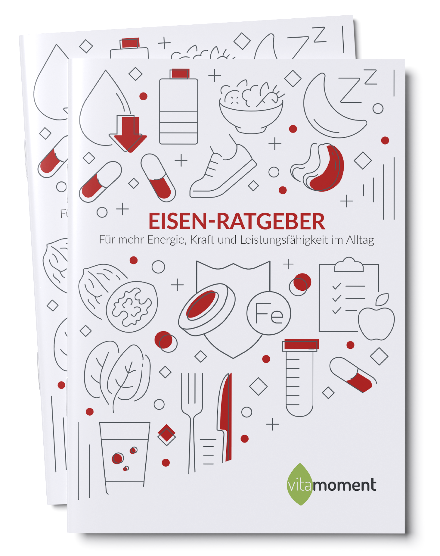 Eisen-Ratgeber