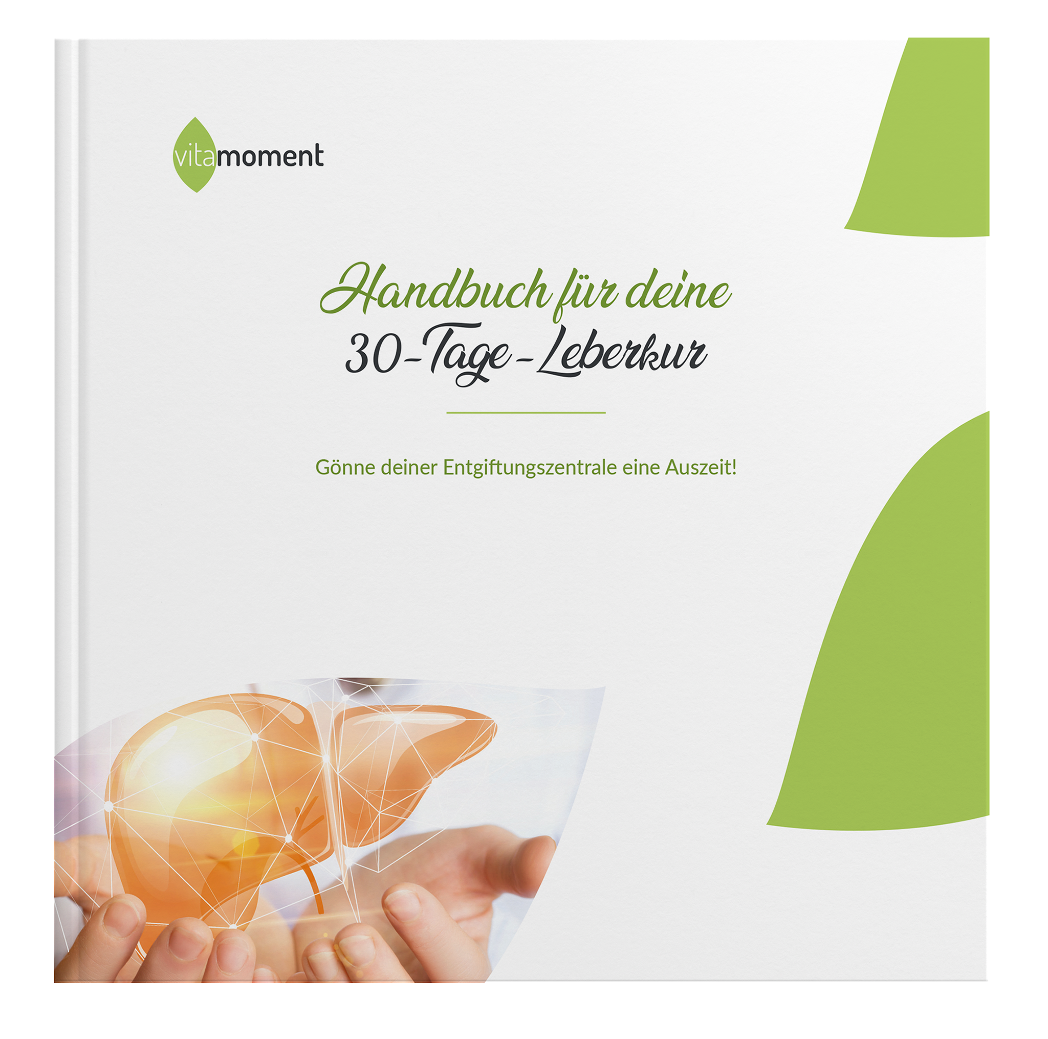Handbuch Leberkur