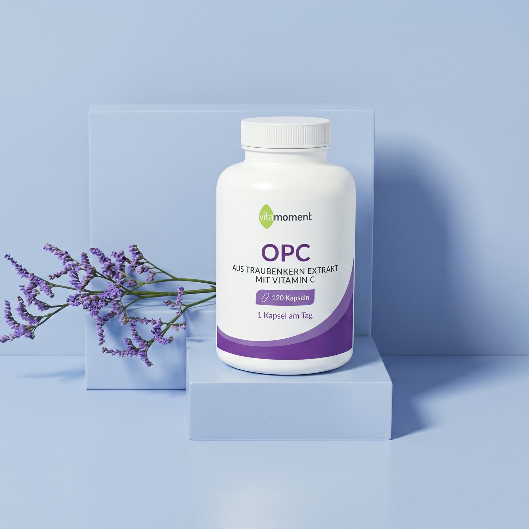 OPC aus Traubenkernextrakt - VitaMoment Produkt