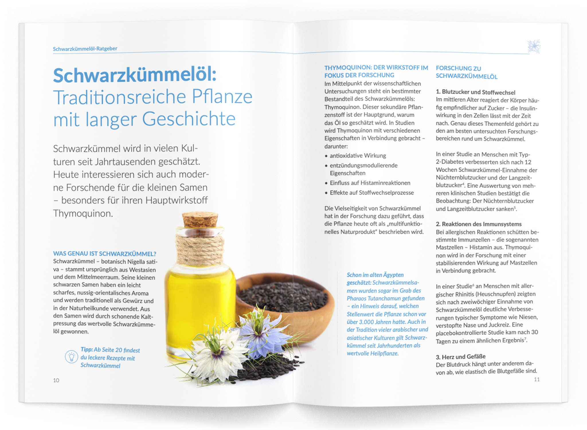 Schwarzkümmelöl-Ratgeber - VitaMoment Produkt