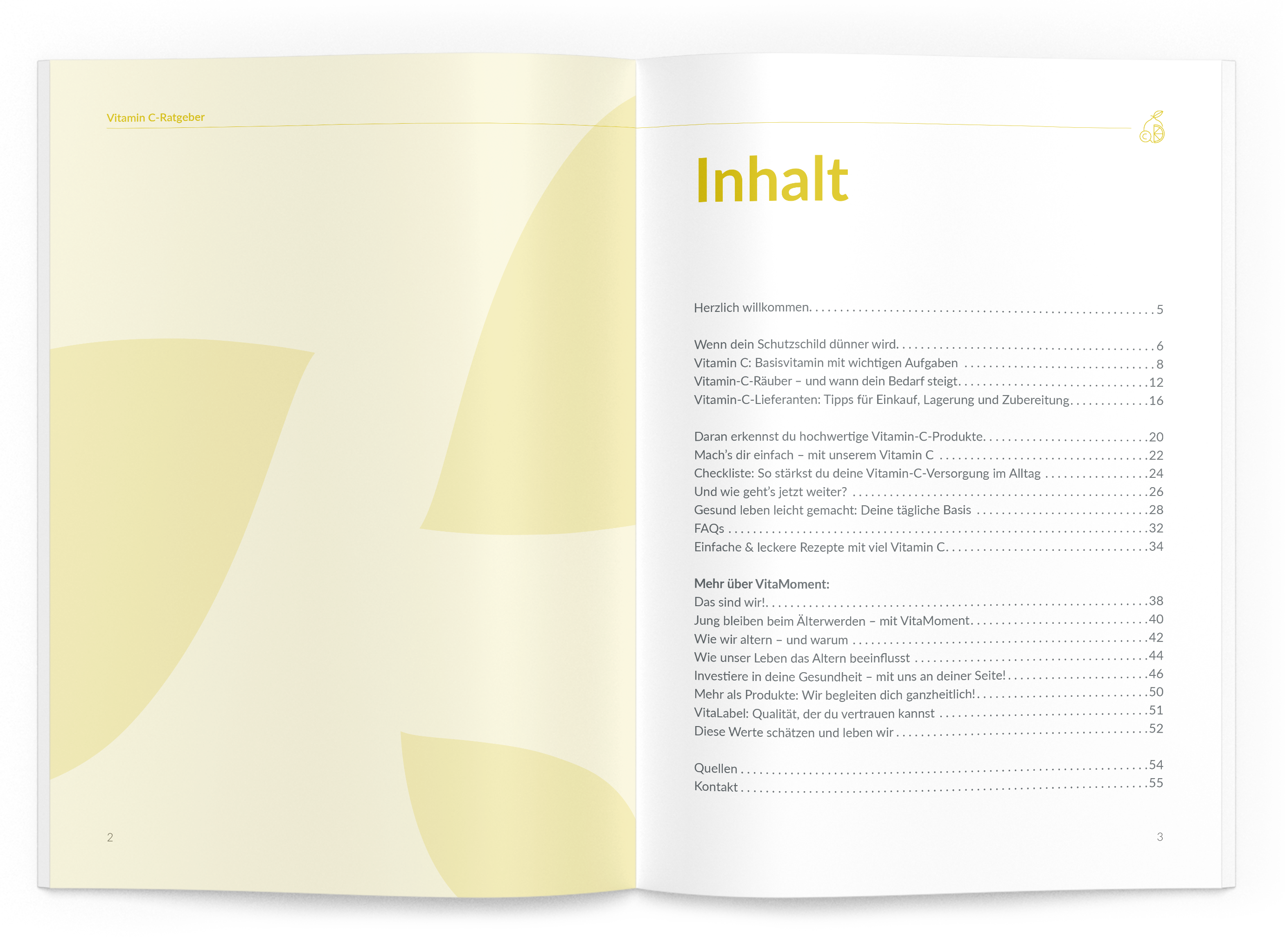 Vitamin-C-Ratgeber - VitaMoment Produkt