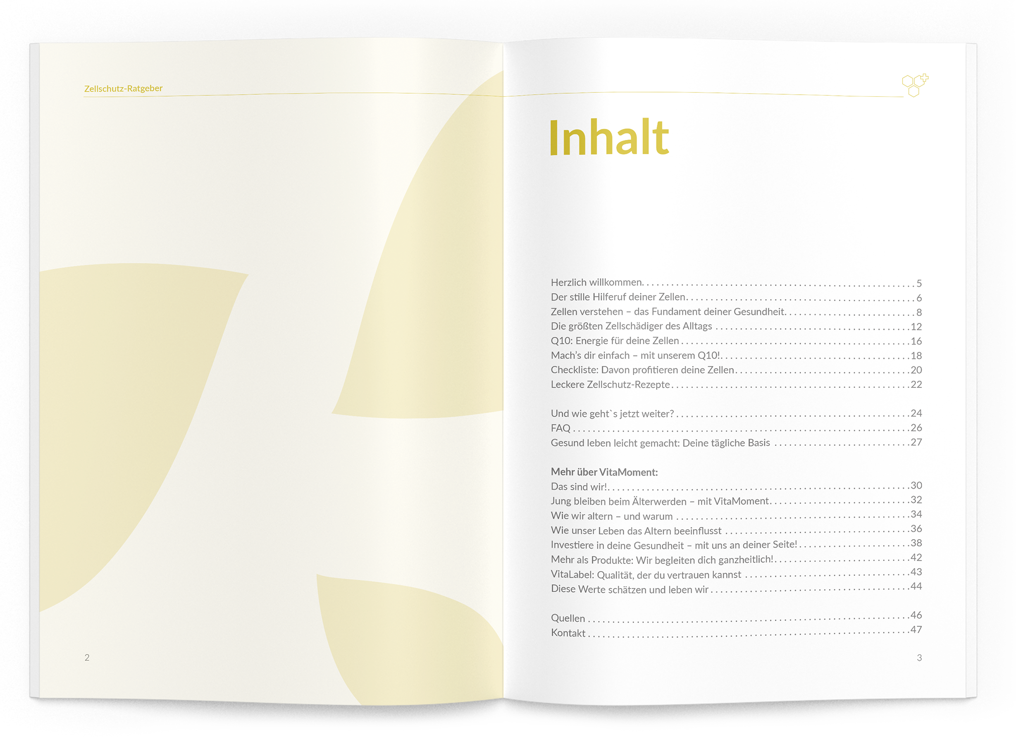 Zellschutz-Ratgeber - 1:Q10 - VitaMoment Produkt