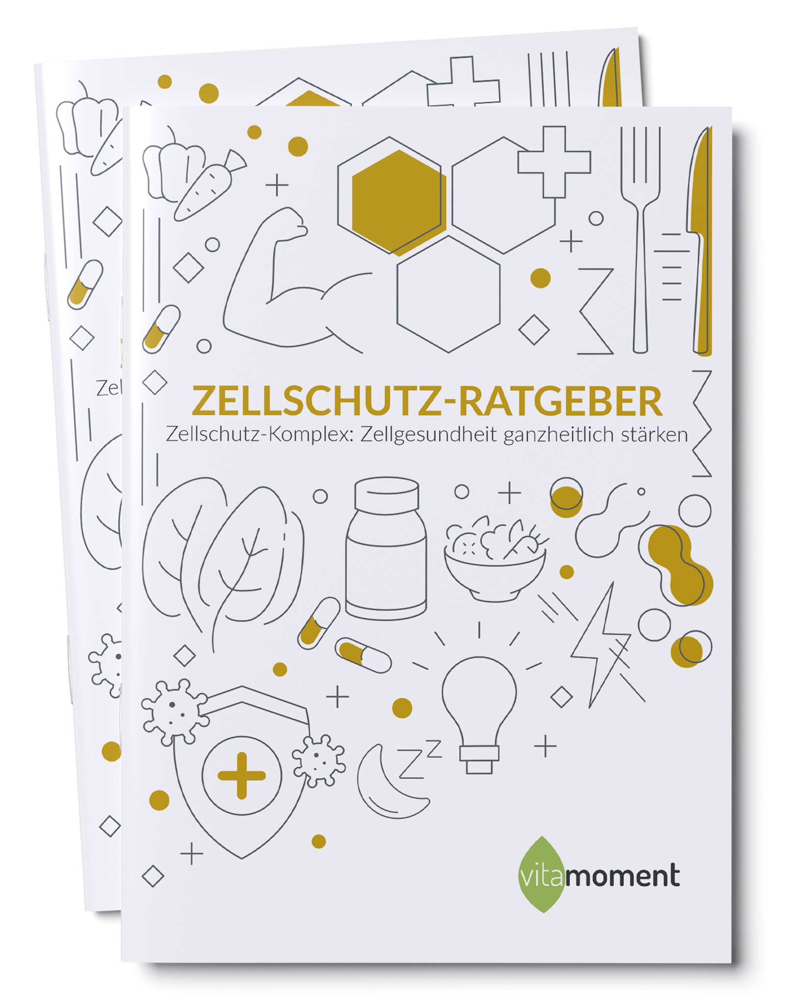 Zellschutz-Ratgeber