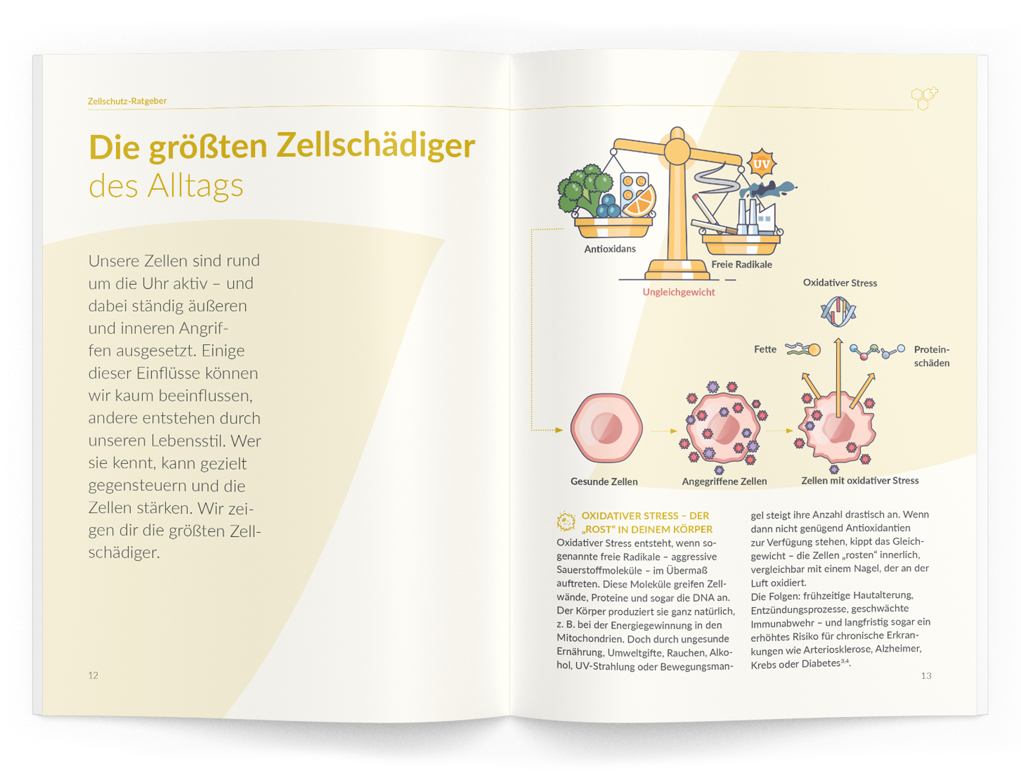Zellschutz-Ratgeber - 1:Zellschutz-Komplex - VitaMoment Produkt