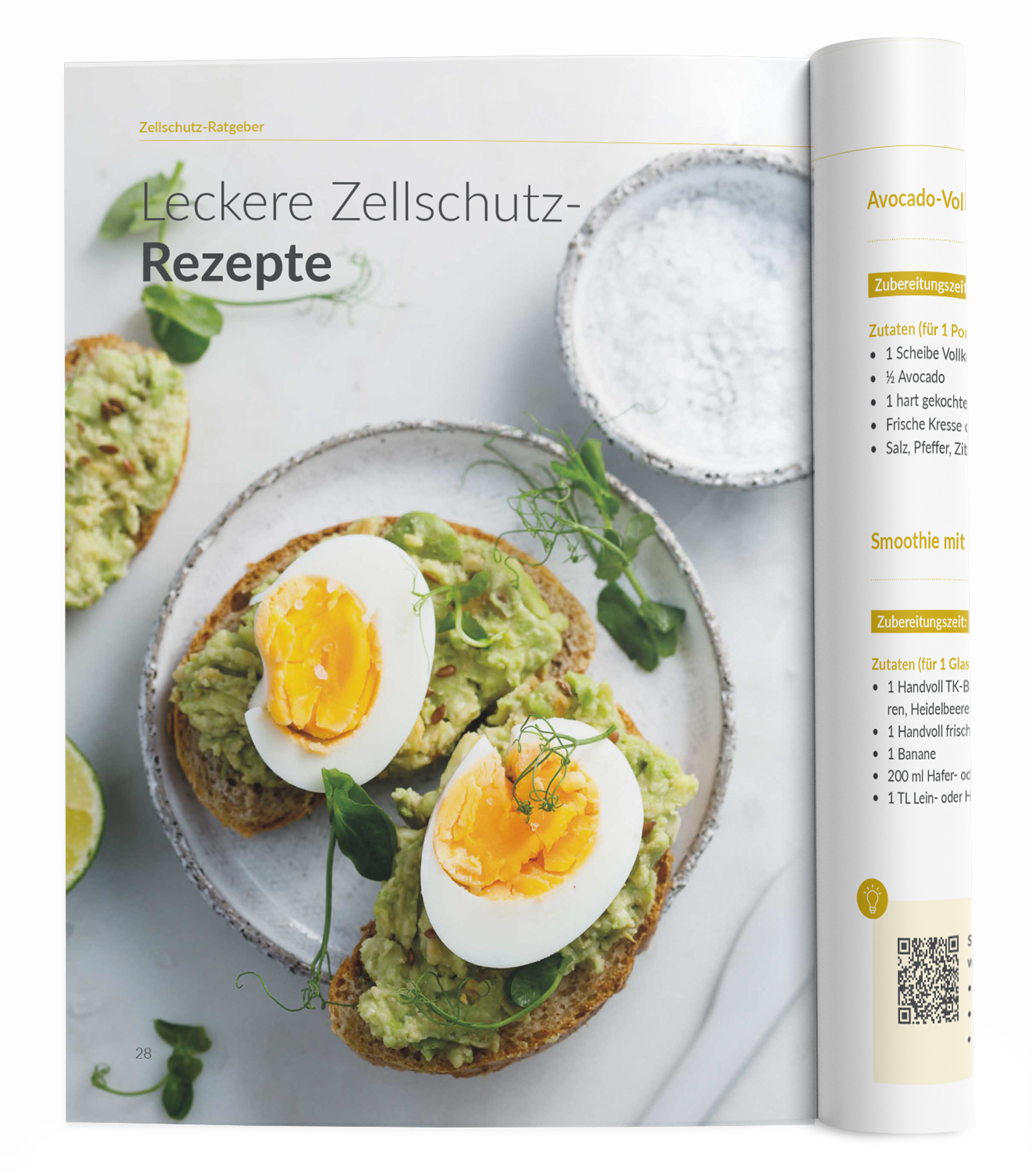 Zellschutz-Ratgeber - 1:Zellschutz-Komplex - VitaMoment Produkt